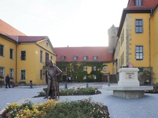 Appartement Ballenstedt Omgeving 20