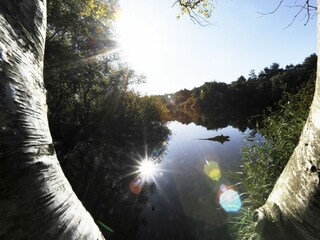 Ferienwohnung Sahlenburg Umgebung 26