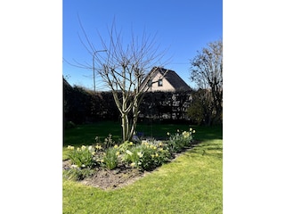 Frühling in Stroheich