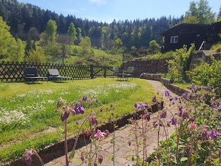 Ferienhaus Elmstein Außenaufnahme 6