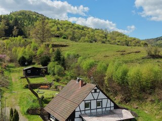 Mitten im Grün