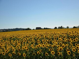 Maison de vacances Tuoro sul Trasimeno Environnement 28