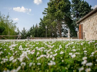 Vakantiehuis Rapolano Terme Buitenaudio-opname 11