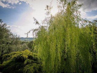 Vakantiehuis Rapolano Terme Buitenaudio-opname 12