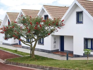 Vakantiepark Lagoa (São Miguel) Buitenaudio-opname 9