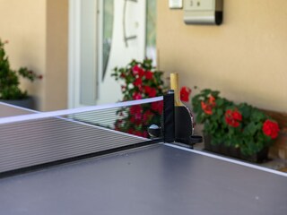 Apartamento Piesendorf Características 28