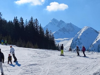 Appartement Piesendorf Environnement 35