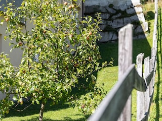 Apartment Piesendorf  47
