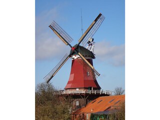 Ferienhaus Greetsiel Umgebung 60