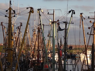 Ferienhaus Greetsiel Umgebung 61