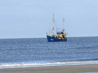 Apartment St. Peter-Ording Umgebung 35
