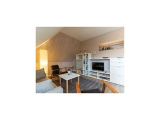Apartment Tating Features 15