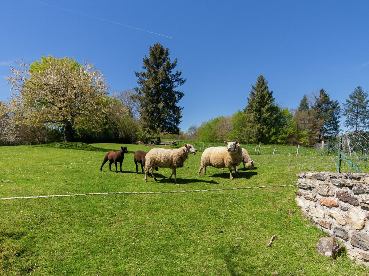 Ferienhaus Payzac (Dordogne) Außenaufnahme 11