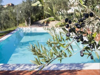 Apartamento Larciano Grabación al aire libre 13