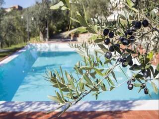 Appartement Larciano Buitenaudio-opname 3