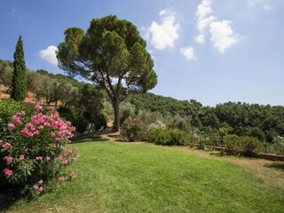Apartment Larciano Environment 33