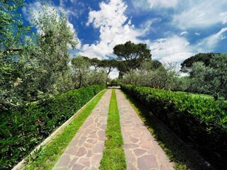 Apartment Larciano Environment 34