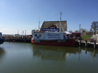 Ferienwohnung Zingst Umgebung 31