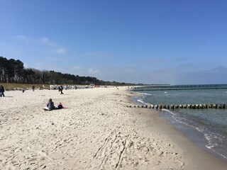 Ferienwohnung Zingst Umgebung 32