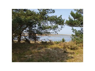 Boddenlandschaft