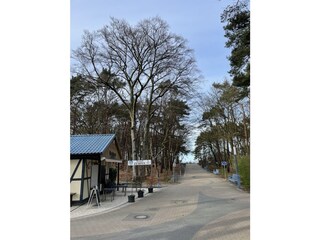 Die Promenade zum Strand gleich hinter dem Waldhaus