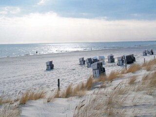 Strand in Zempin