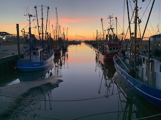 Dorum-Neufeld Kutterhafen