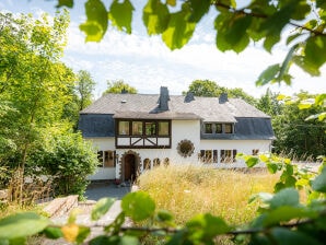 Villa Karbach - Mayen - image1