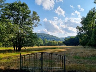 Nobody is disturbing...