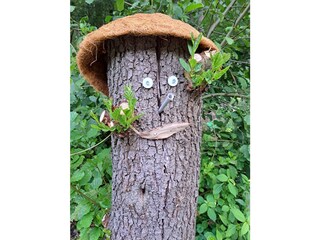 Bungalow Friedrichroda Outdoor Recording 8