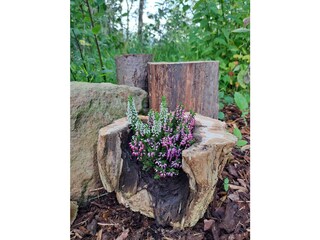 Bungalow Friedrichroda Outdoor Recording 17