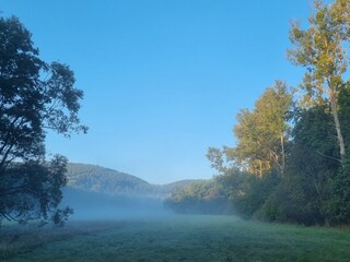 early in the morning