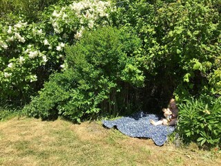 Holiday house Boddum Outdoor Recording 2