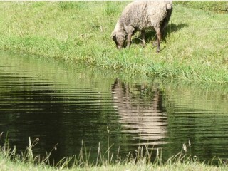 Vakantiehuis Hovborg  2