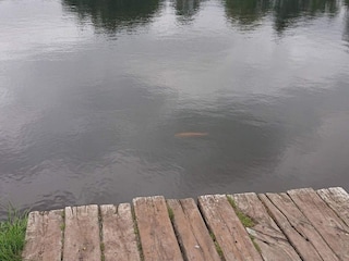 Maison de vacances Hovborg  13