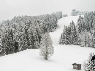 Apartment Wagrain Environment 27