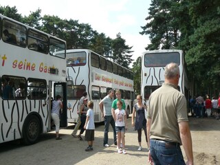 Vakantiehuis Wietzendorf Omgeving 16