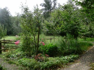 Holiday house Wietzendorf Environment 18