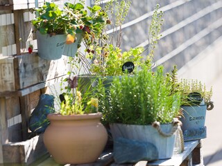 Appartamento per vacanze Unterburg - Klopeiner See Registrazione all'aperto 17