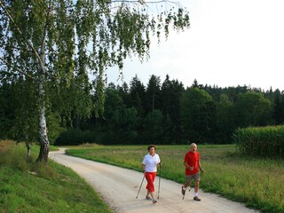 Gratis geführte Nordic-Walking Touren