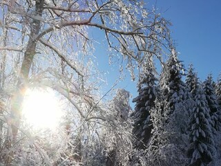 Appartamento per vacanze Oberstdorf Ambiente 27