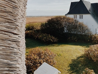 Ausblick aus dem Gaubenfenster