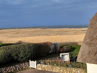 Blick aus dem Badezimmer