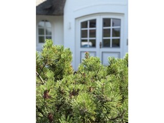 Neuer Anstrich der Außenfassade