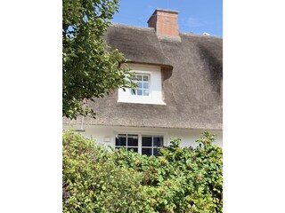 DG-Wohnung unter Reet