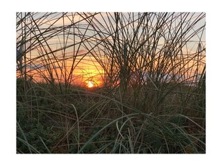 Ferienwohnung Rantum Umgebung 39