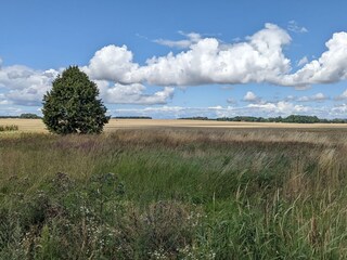 Casa de vacaciones Mellnitz Entorno 36