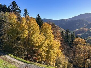 Appartamento per vacanze Bad Peterstal-Griesbach Ambiente 24