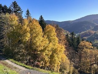 Appartement de vacances Bad Peterstal-Griesbach Environnement 24
