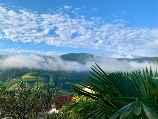 Appartement de vacances Bad Peterstal-Griesbach Environnement 25